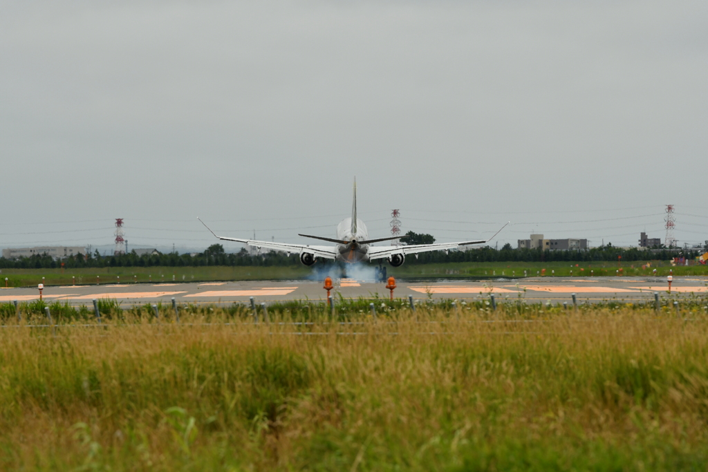 THE LANDING