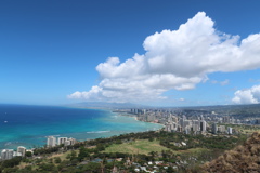 DYNAMIC DIAMOND HEAD