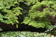 弘前にて