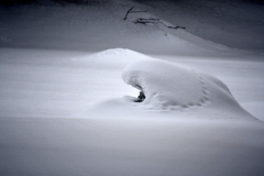 ZAKU・・・雪原に眠る