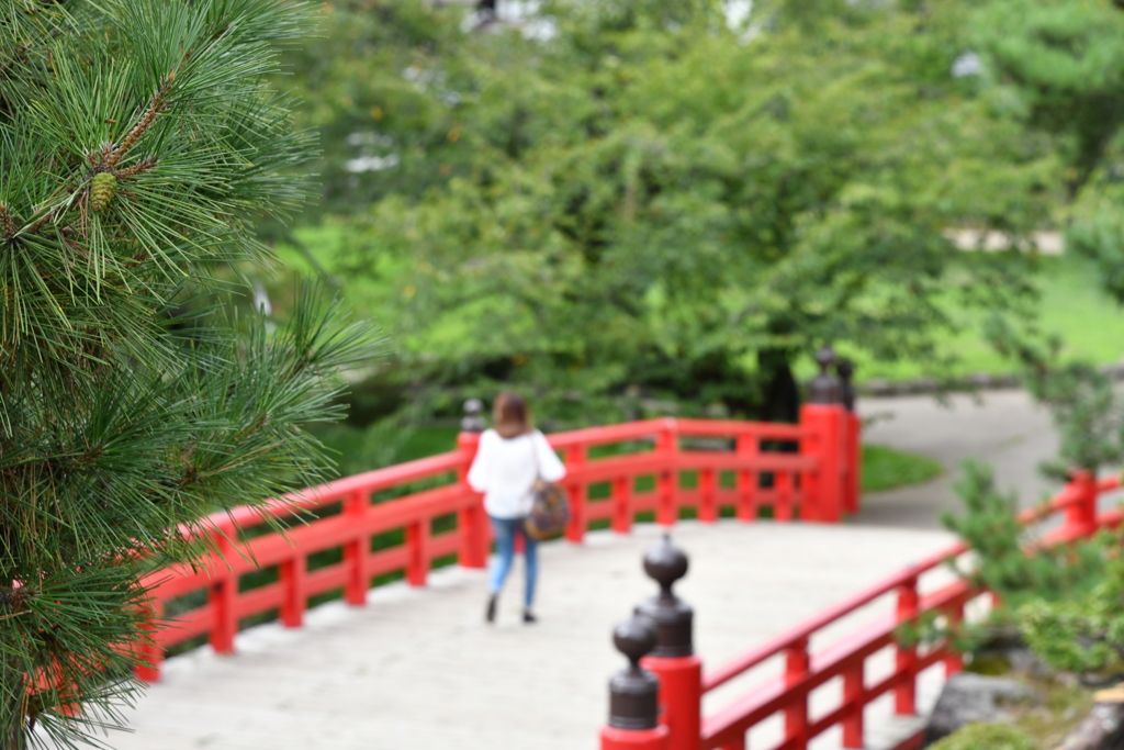夏の弘前公園