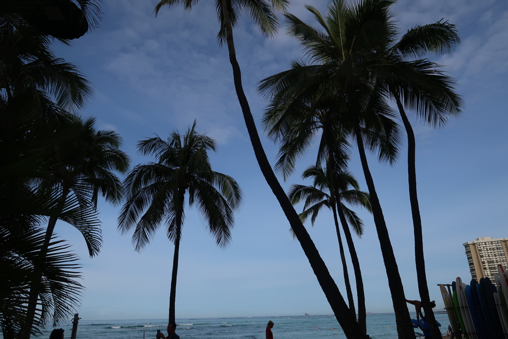 DRAMATIC WAIKIKI