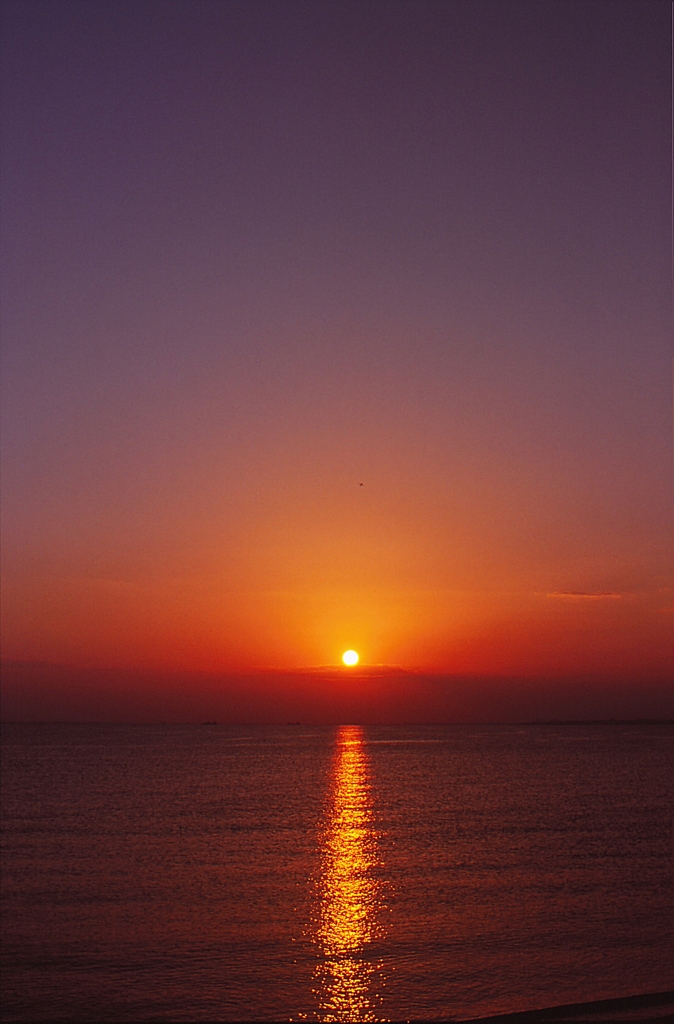 夕陽、幕張