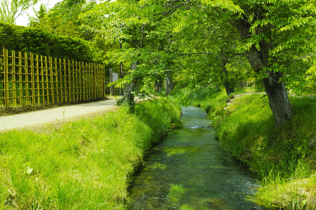 忍野村①