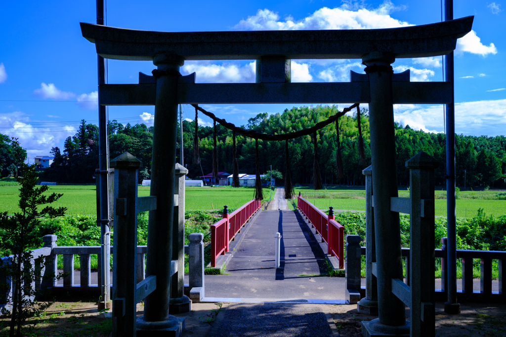 鳥居の先は夏