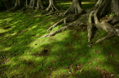 DSC00072