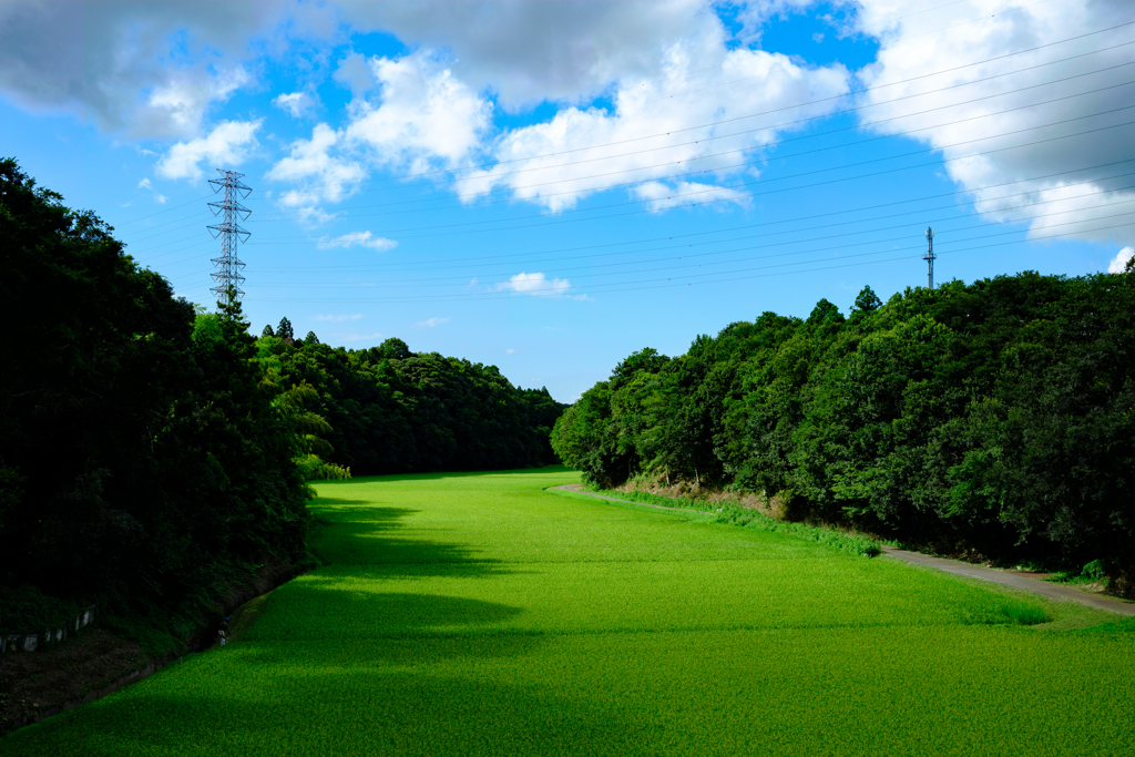田園
