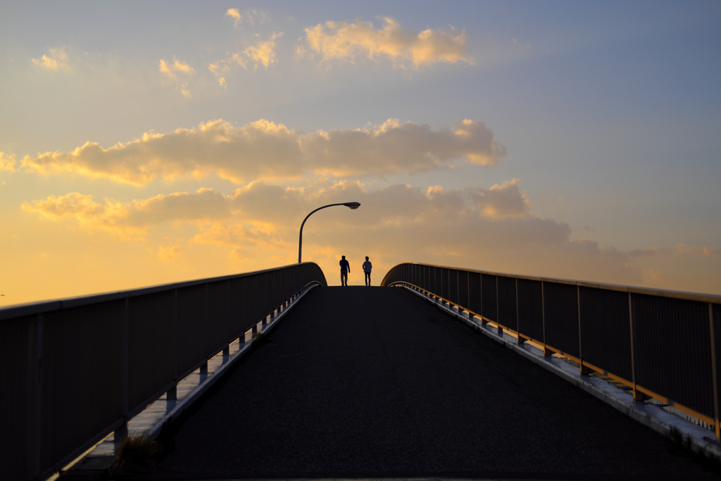 夕日を見に