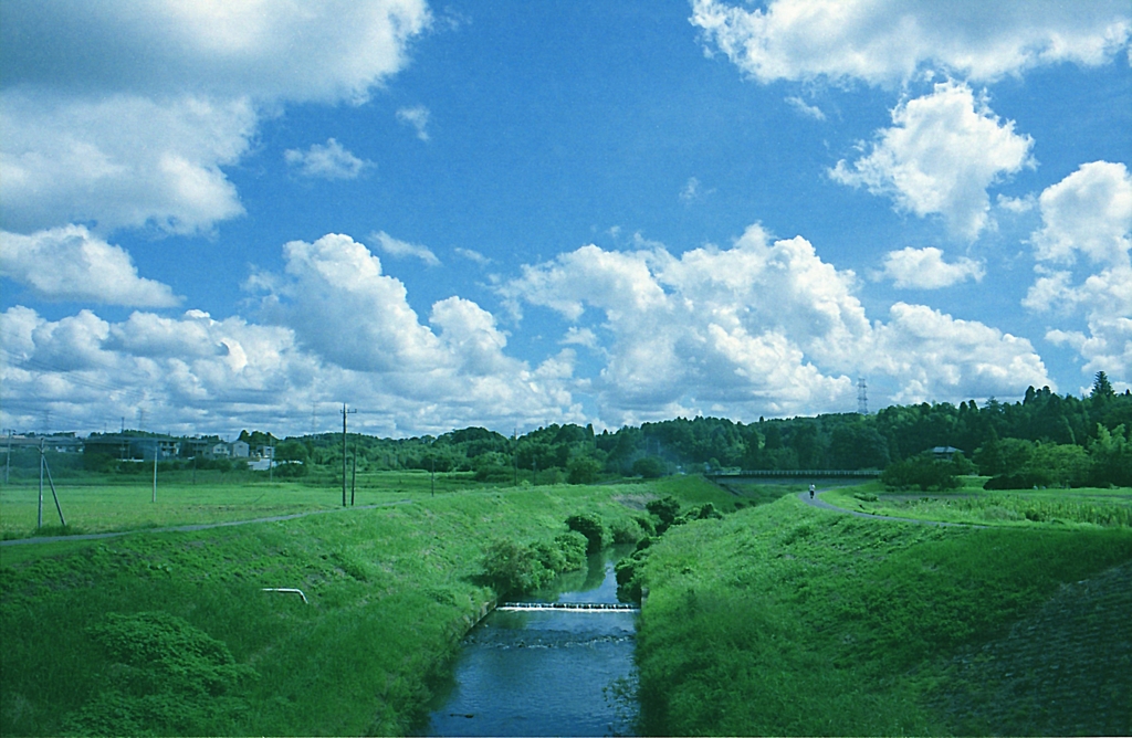 いい天気