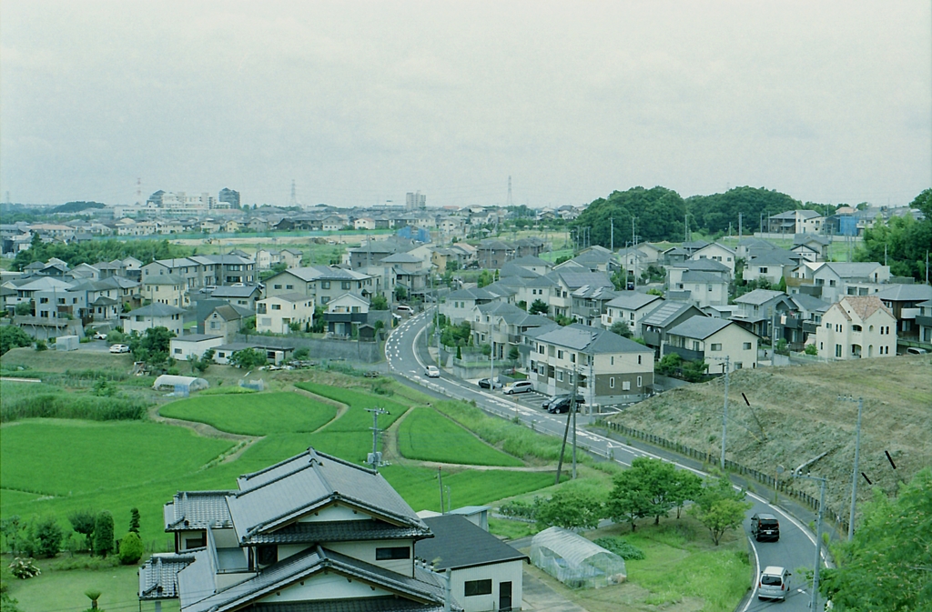 高台から