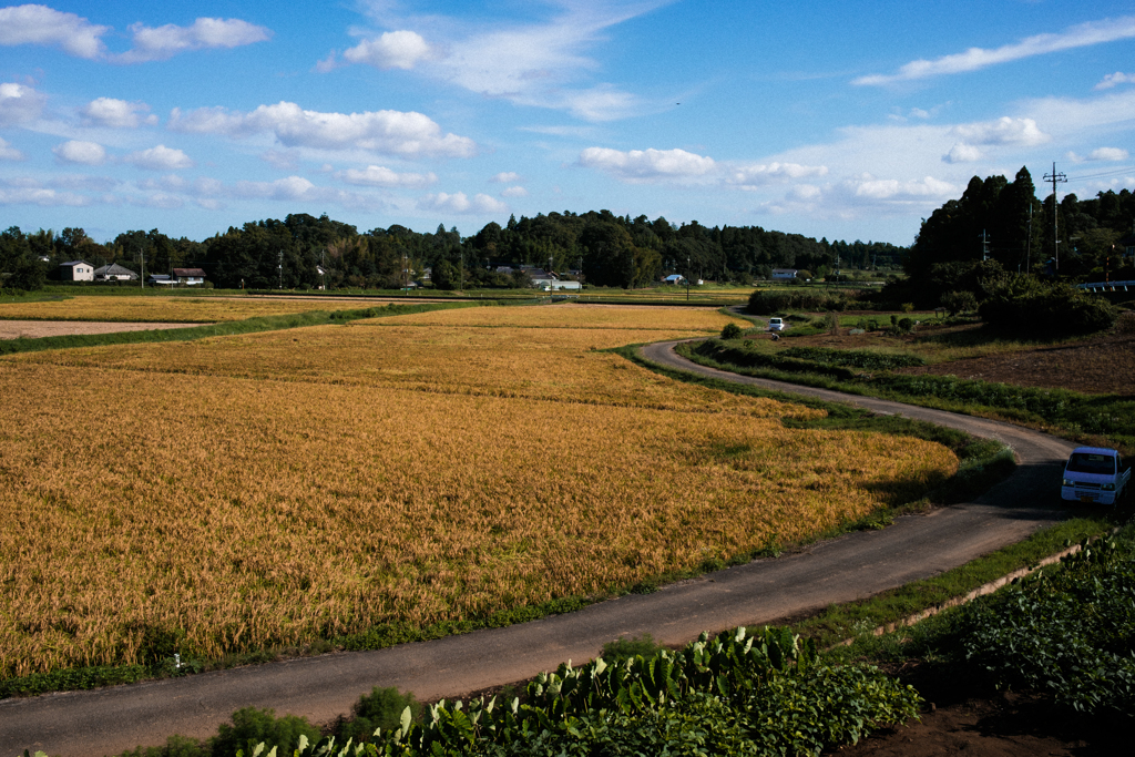 田舎風景