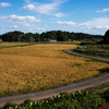 田舎風景