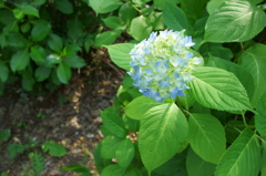 DSC00102