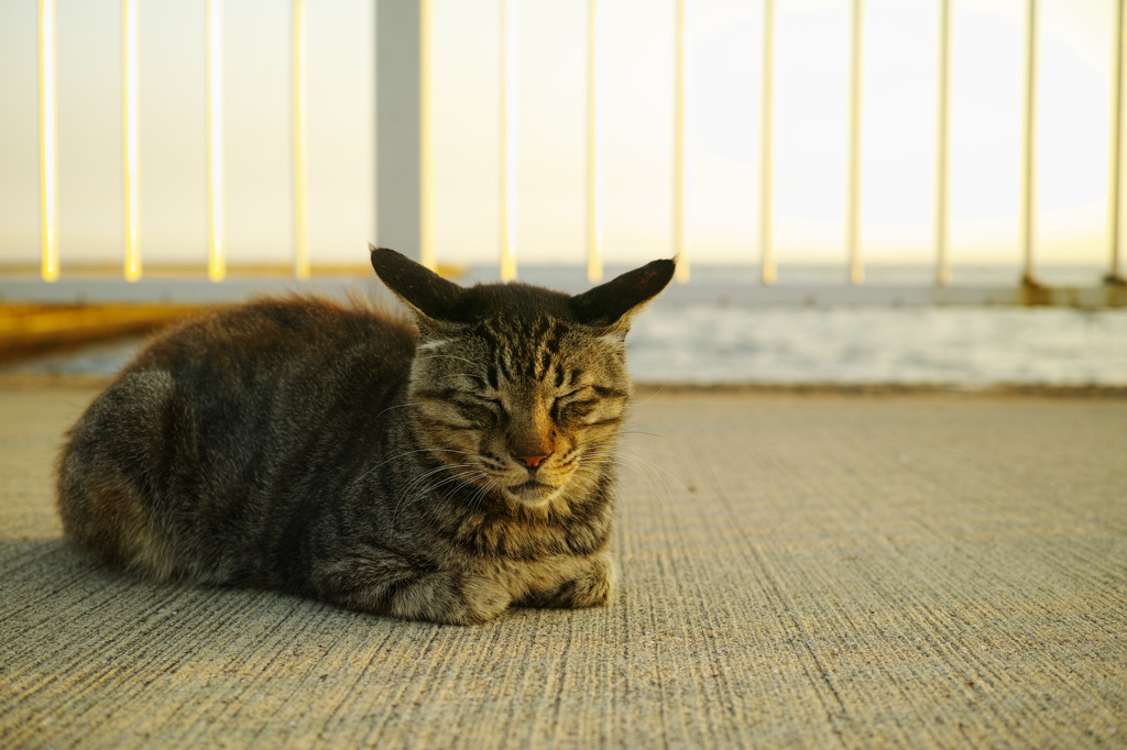 眩しい