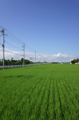 DSC00344