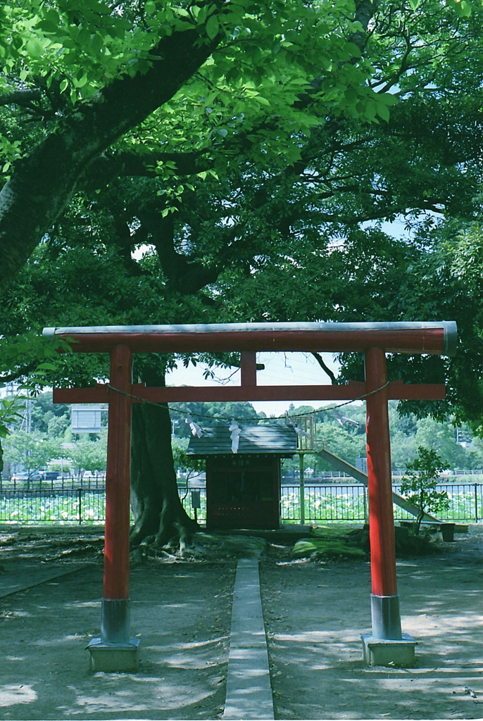 鳥居