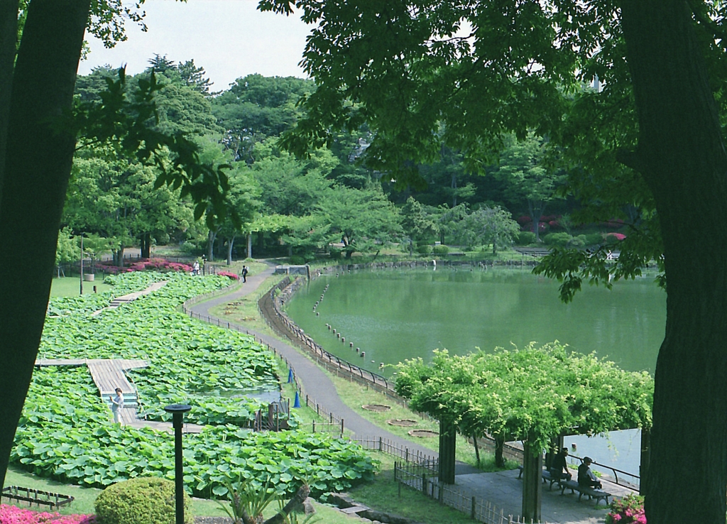 千葉公園