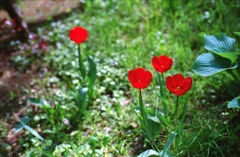 IMG_20140427_0026_NEW