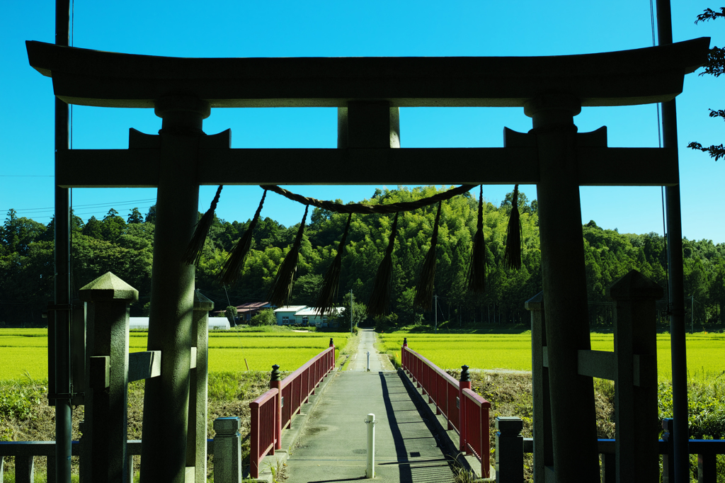 鳥居の先に