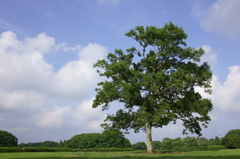 DSC00159