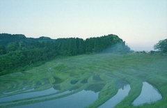 高湿