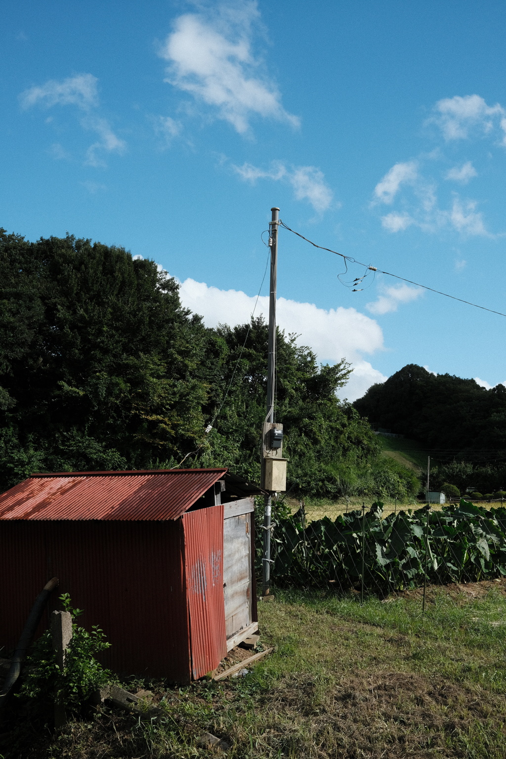 ポンプ小屋