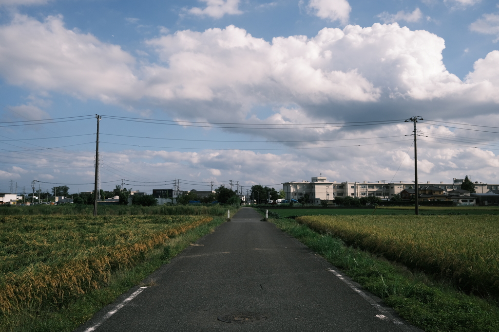 夏の午後