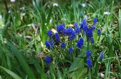 IMG_20140427_0028_NEW