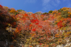 梅ヶ瀬渓谷⑤