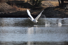ホップ・ステップ・ジャンプ