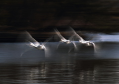 スローな時間　PART1