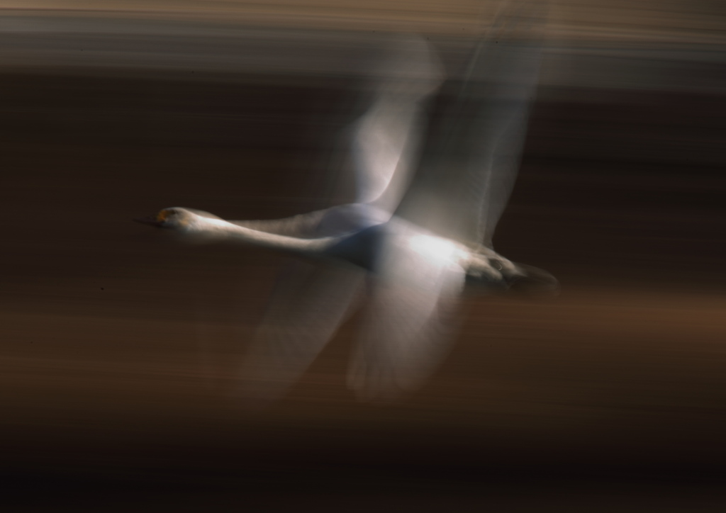 スローな時間　PART2