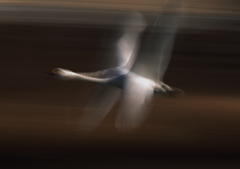 スローな時間　PART2