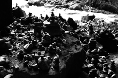 DSC05491