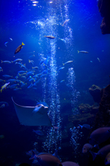 DSC03016