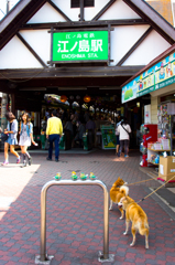 DSC05000