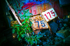 DSC01149
