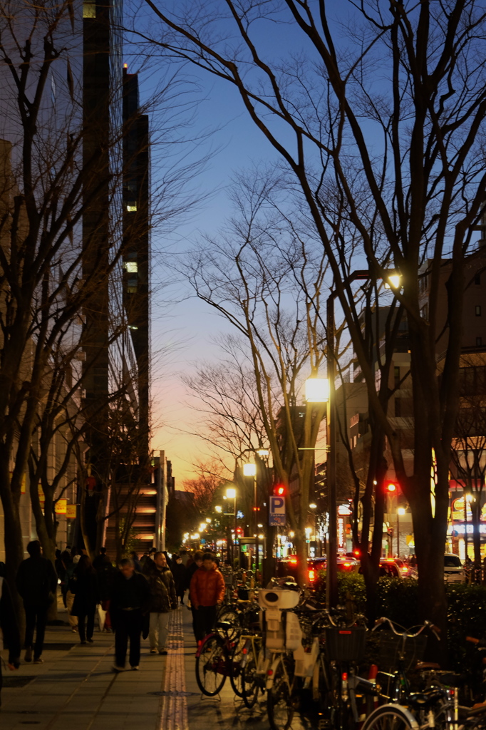 夕暮の街