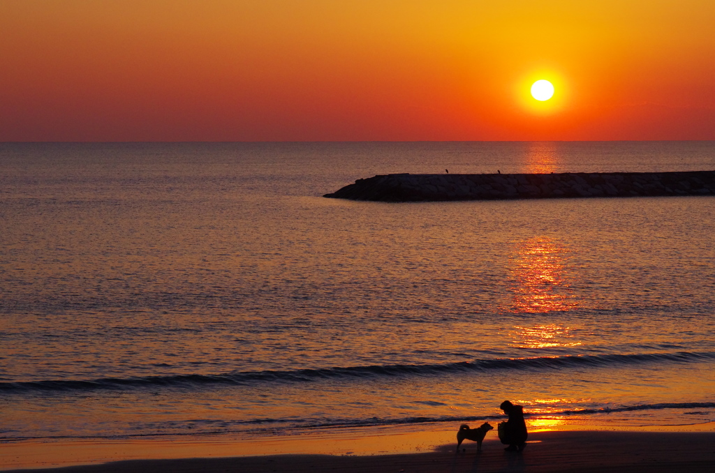 夕陽の中で・・・・・・。