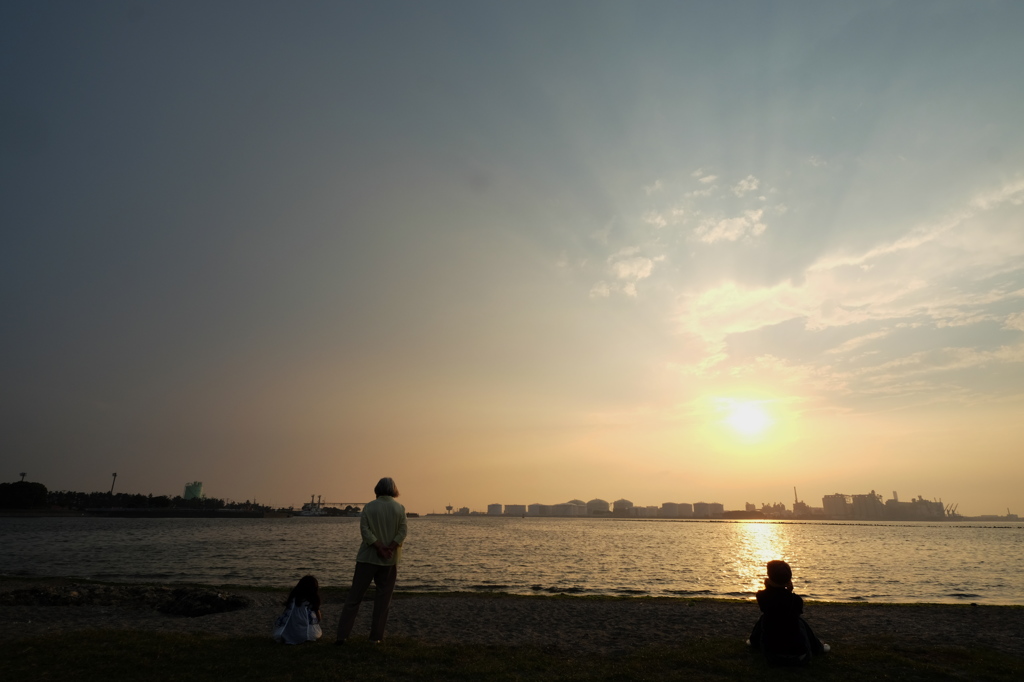 公園で夕陽