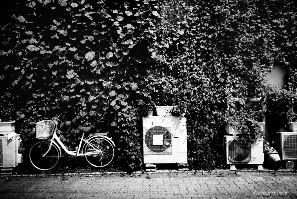 自転車のある場所