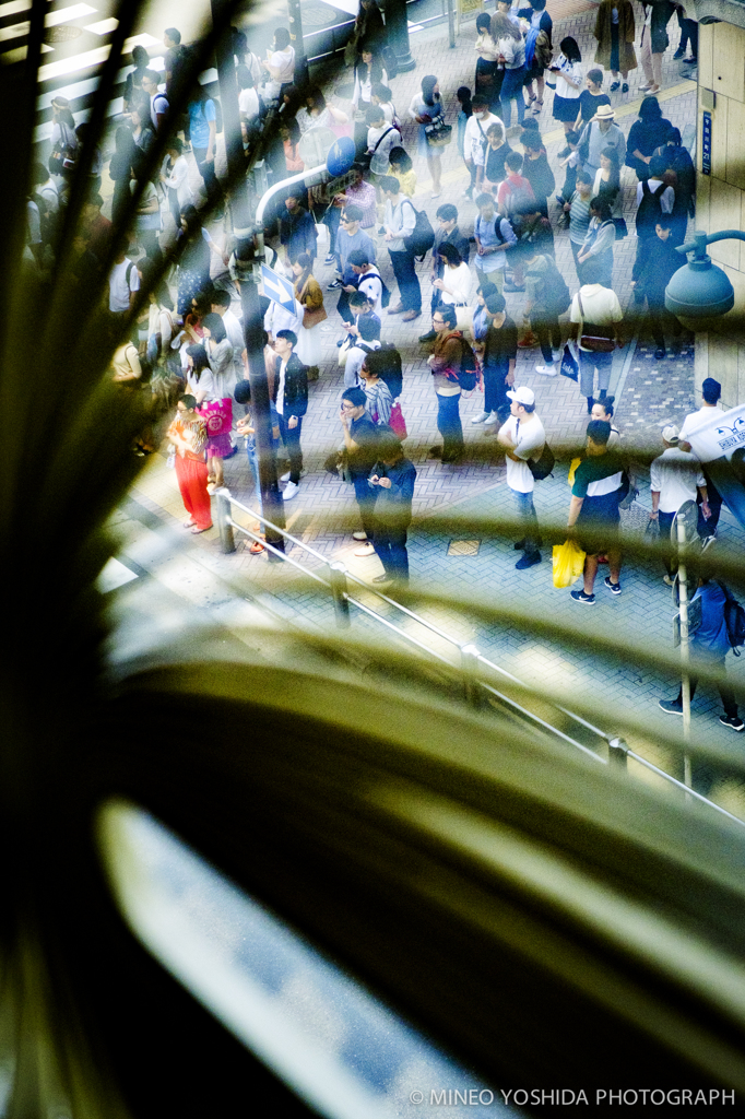 TOKYO COLOR CHROME #001