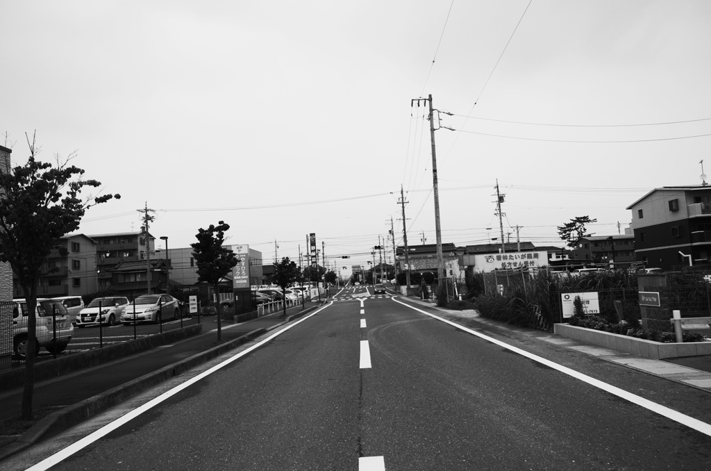 果てない道