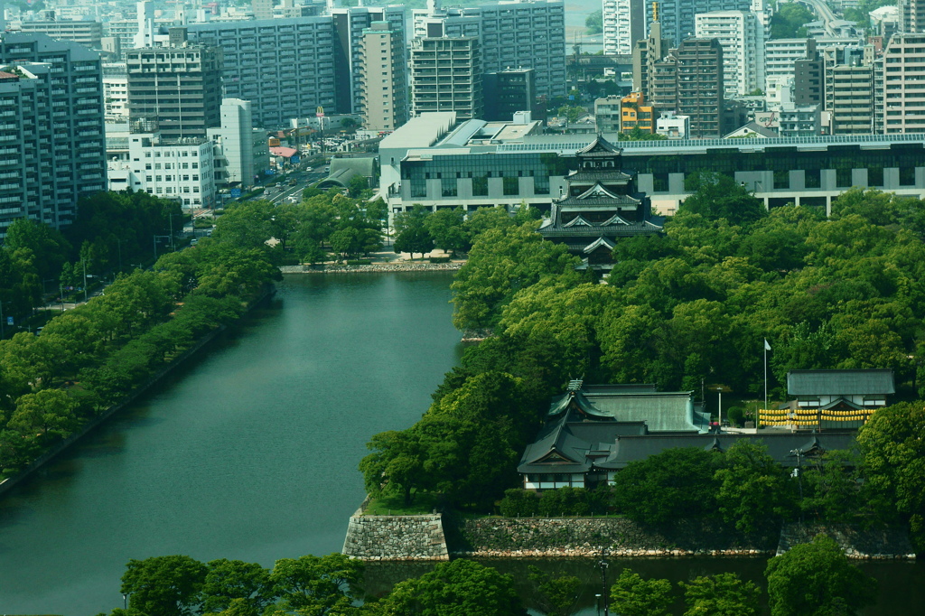 鯉城