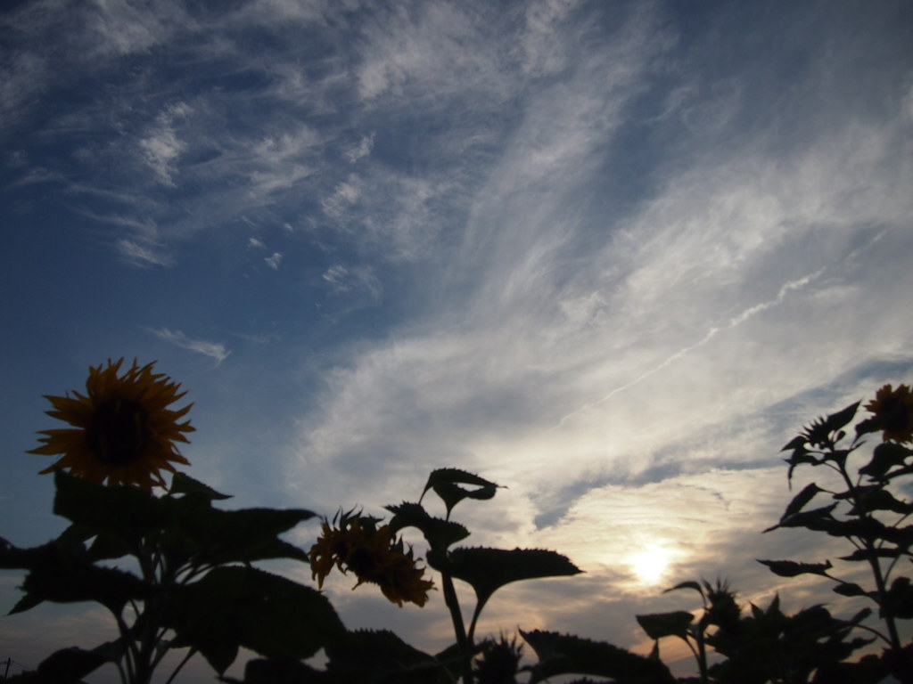 夕空の切なさ
