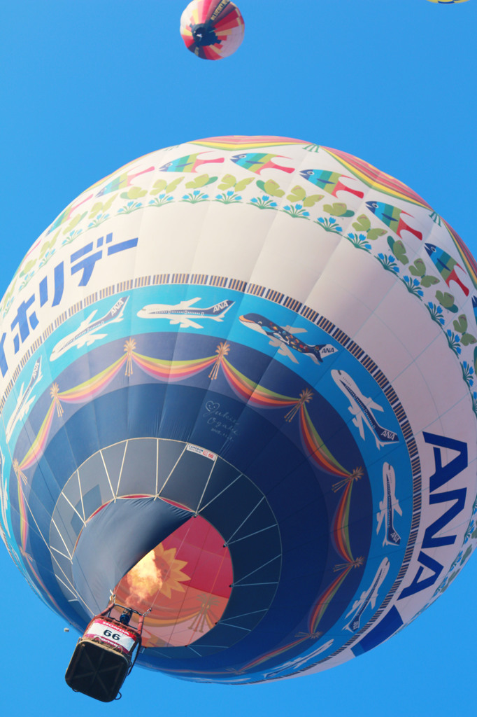 2015 SAGA International Balloon Festa