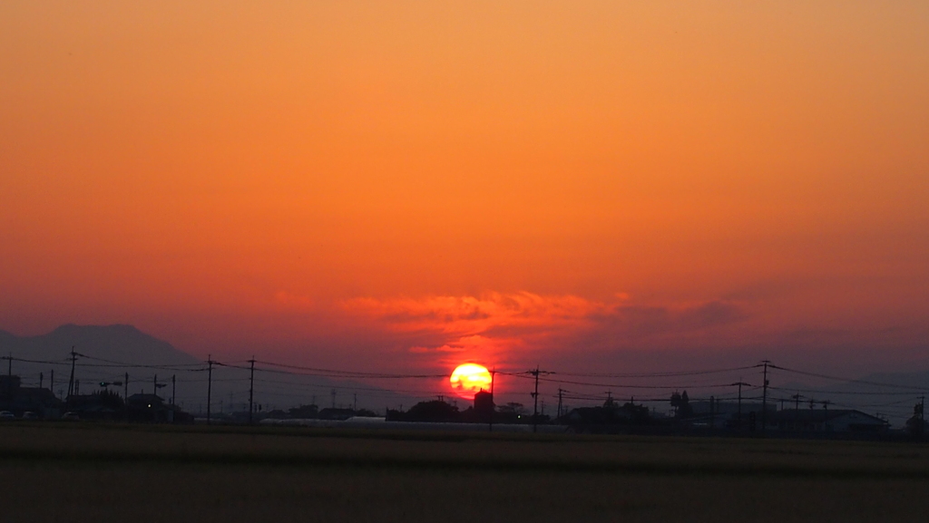 太陽にほえろ！