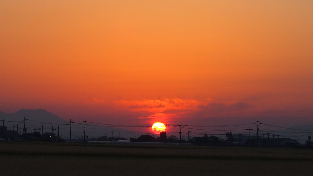 太陽にほえろ！