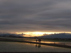 帰り道