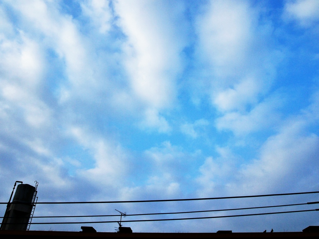 恋し　青空